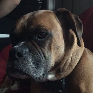 Meet your Posher, Betty jo